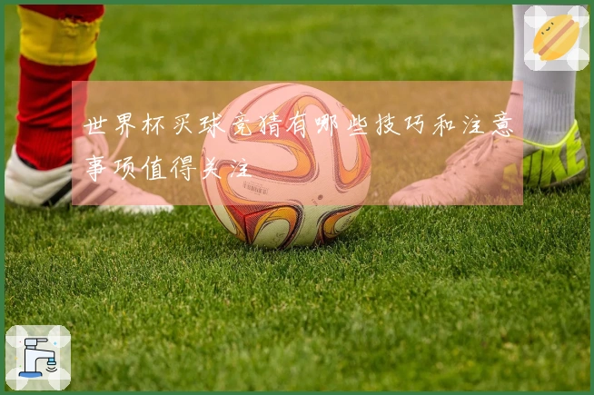 世界杯买球竞猜有哪些技巧和注意事项值得关注