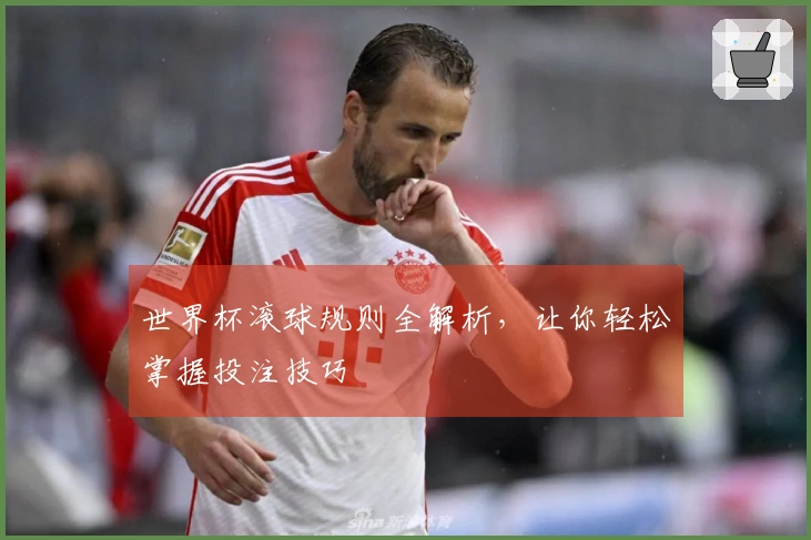 世界杯滚球规则全解析，让你轻松掌握投注技巧