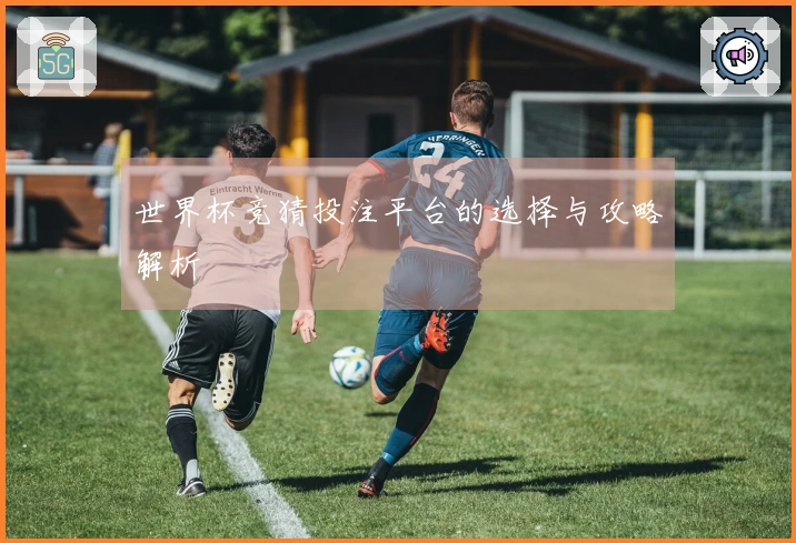 世界杯竞猜投注平台的选择与攻略解析