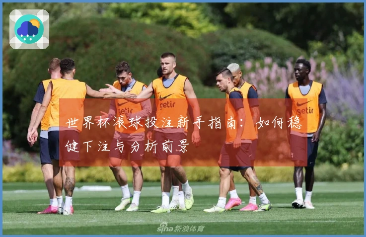 世界杯滚球投注新手指南：如何稳健下注与分析前景